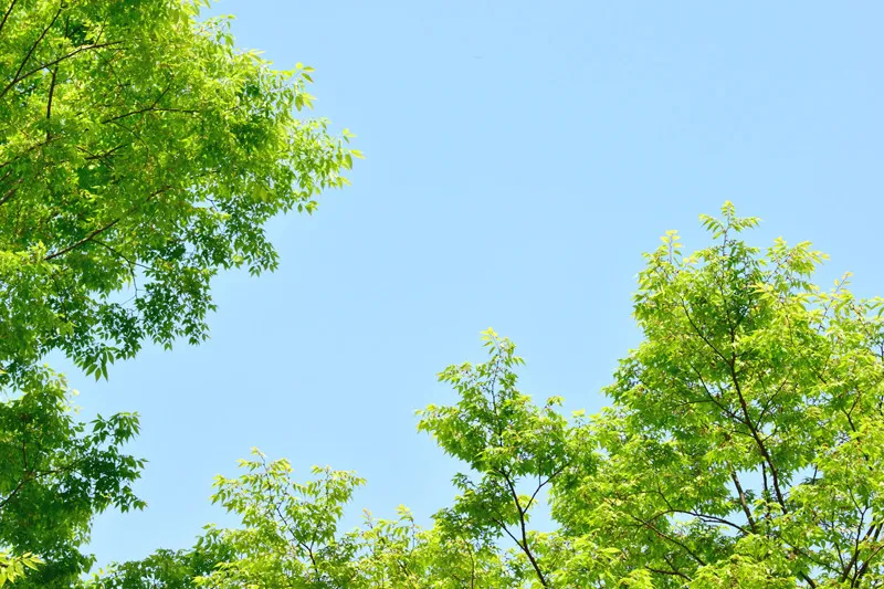 ホームページ公開いたしました。